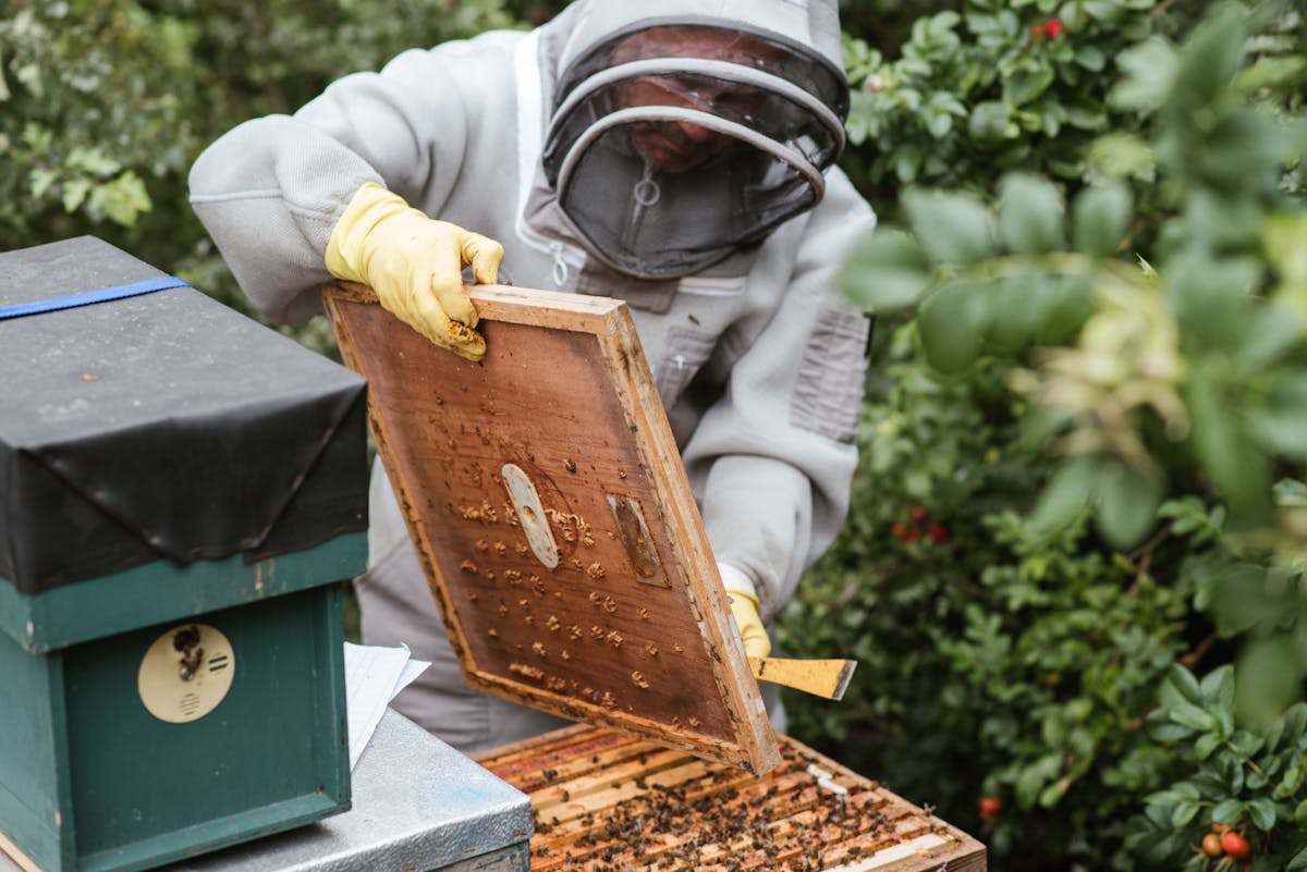 Beekeeper