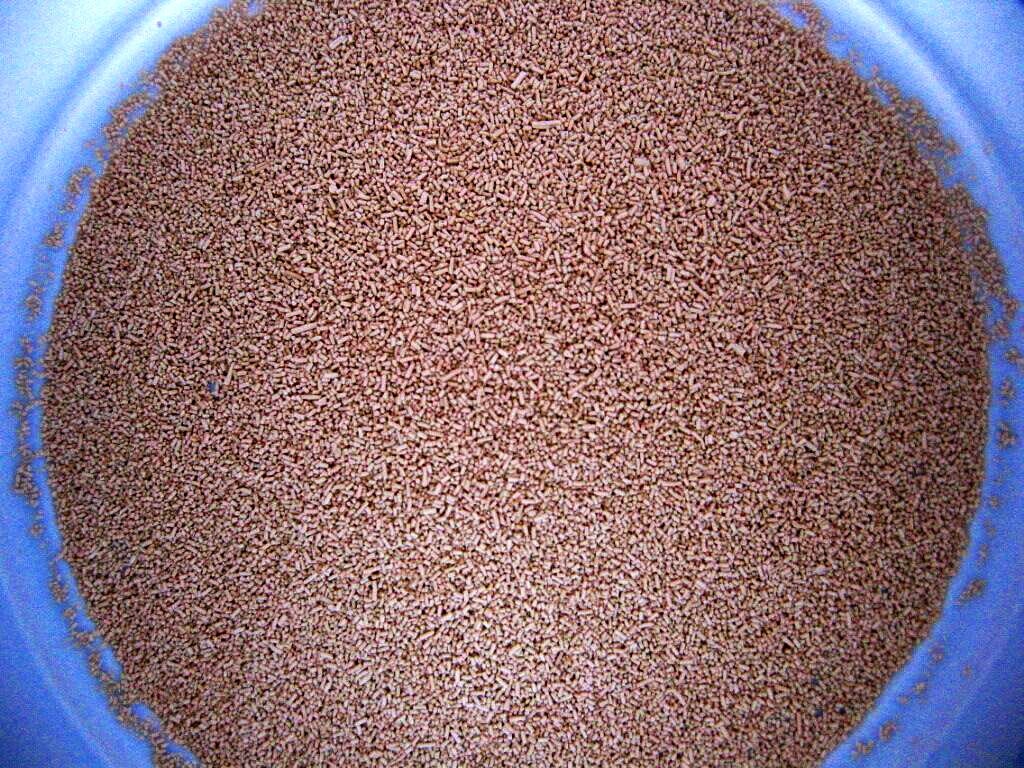 Yeast